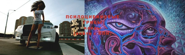 мяу мяу мука Киренск